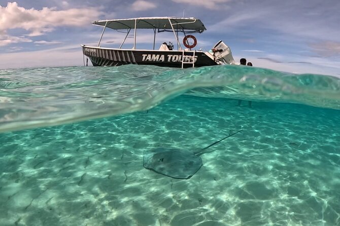 Private Lagoon Exploration and Snorkeling in Moorea - Looking for spinner dolphins at the reef edge