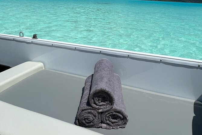 Private Lagoon Tour on a Prestigious Pontoon Boat in Bora Bora - Manta ray areas and marine life