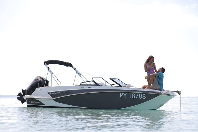 Private lagoon tour (rays, sharks, turtles) by boat in Moorea - What the private price really buys you