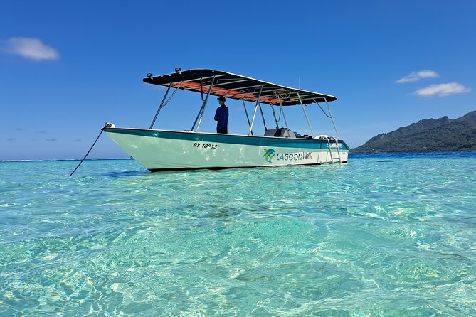 Private Marine Excursion and snorkeling in the lagoon of Moorea - Key points to know before booking