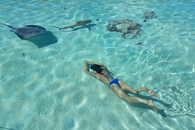 Private Marine Excursion and snorkeling in the lagoon of Moorea - What your four hours can include