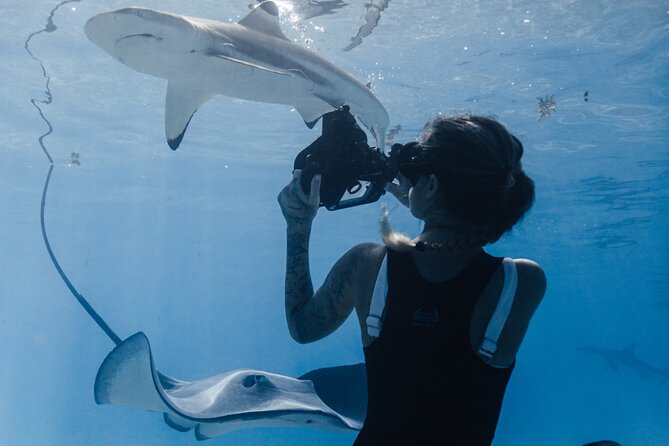 Private Marine Wildlife Adventure with Underwater Photography - What to bring, and what the operator supplies
