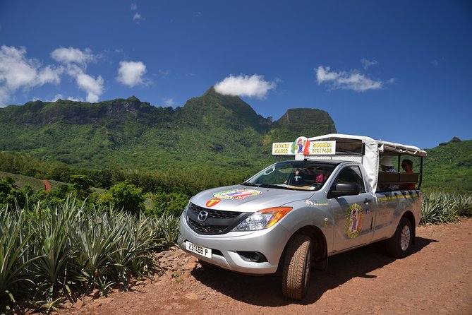 Private Morning Moorea 4WD Tour with Champagne - Moorea from the back roads