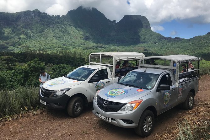 Private Morning Moorea 4WD Tour with Champagne - Tropical Garden, vanilla, jam, and local flavors