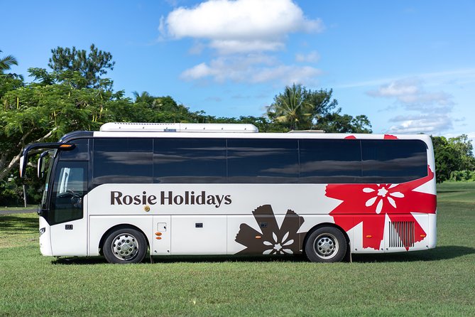 Private Premium Departure Transfer : Hotel to Nadi Airport - Wi-Fi, luggage help, and small comforts