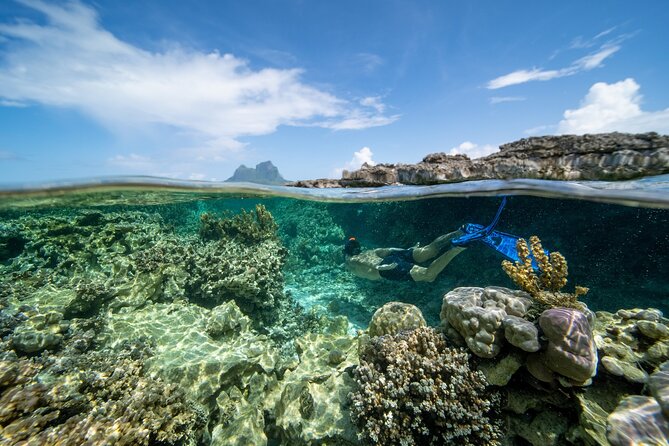 Private Reef Discovery Luxury Dream Day Tour in Bora Bora - The useful break between day and sunset