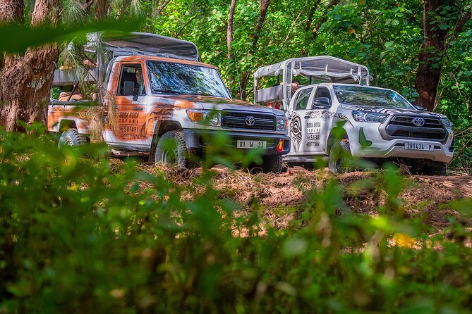Private Safari Adventure Tour in Bora Bora with Local Guide - Mount Popoti delivers the big view