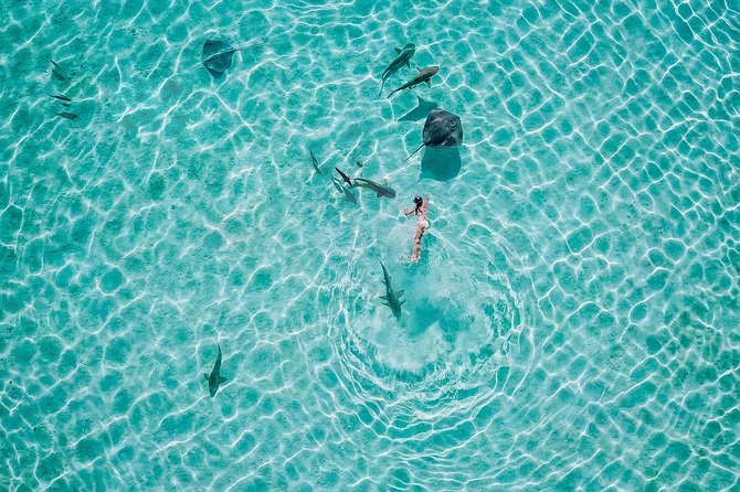 PRIVATE Sunset Tour: Moorea Snorkeling on a Catamaran named Taboo - From active water time to a slow sunset