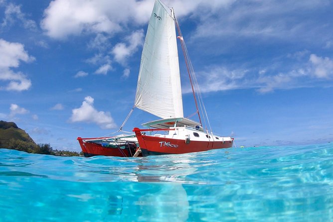 PRIVATE Sunset Tour: Moorea Snorkeling on a Catamaran named Taboo - What the guides add to the day