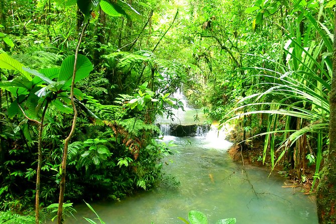 Private Suva Nature and Waterfall Tour - Who will enjoy this Suva nature outing