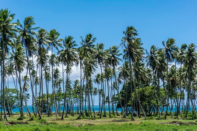 Private Tahiti Circle Island - Waterfalls, Black Sand & Views - Arahurahu Marae: start with Tahiti’s sacred past