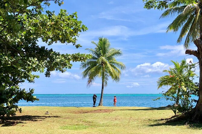 Private TAHITI Half Day Circle Island Tour (Departs 8am or 1pm) - Arahoho Blowhole, where the volcanic coast puts on a show