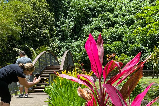 Private TAHITI Half Day Circle Island Tour (Departs 8am or 1pm) - Timing, comfort, and what to bring
