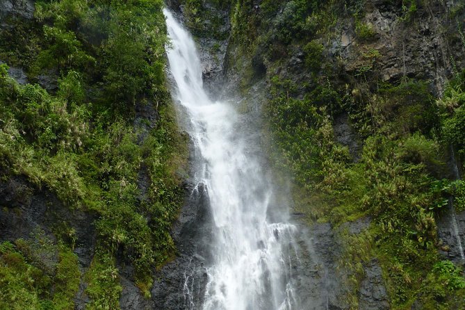 private Tahiti island discovery - Vaipahi Water Gardens slow the pace