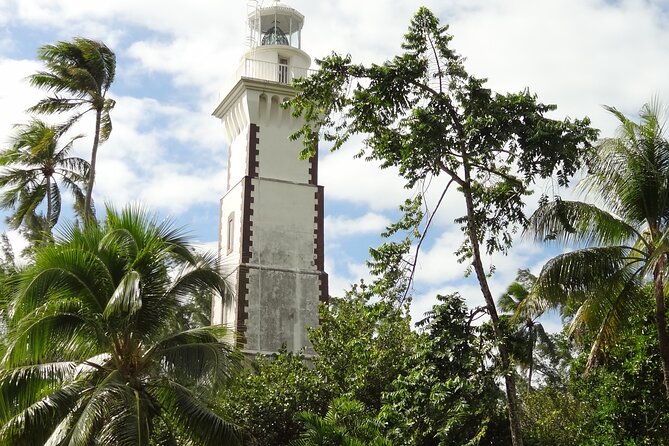 Private : Tahiti Museum & Circle Island Tour, Afternoon Tour (5h) - Vaipahi Gardens and the road toward Tahiti Iti