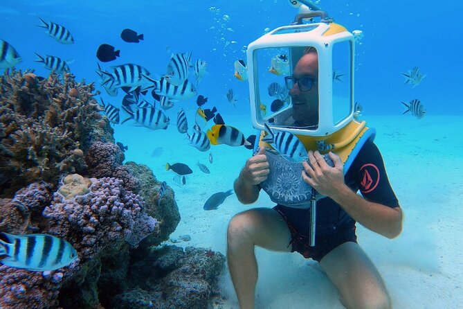 Private Tour: Aqua Safari Scuba Diving - A helmet walk through Bora Bora’s lagoon