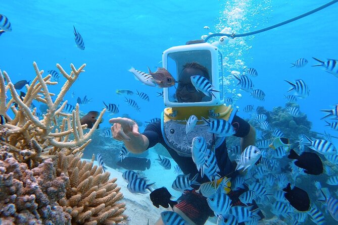 Private Tour: Aqua Safari Scuba Diving - What happens during the two-hour outing