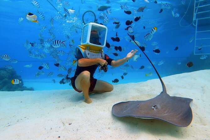 Private Tour: Aqua Safari Scuba Diving - Why the private format matters