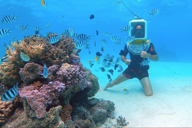 Private Tour: Aqua Safari Scuba Diving - What to bring and what is provided