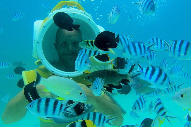 Private Tour: Aqua Safari Scuba Diving - Who will enjoy Aqua Safari most