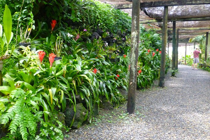 Private Tour: Best of Nadi Highlights - Viseisei Village and Fiji’s beginnings