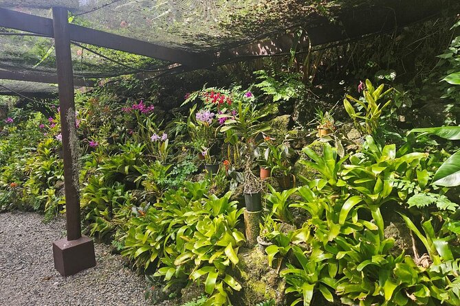 Private Tour: Best of Nadi Highlights - What the private format really adds