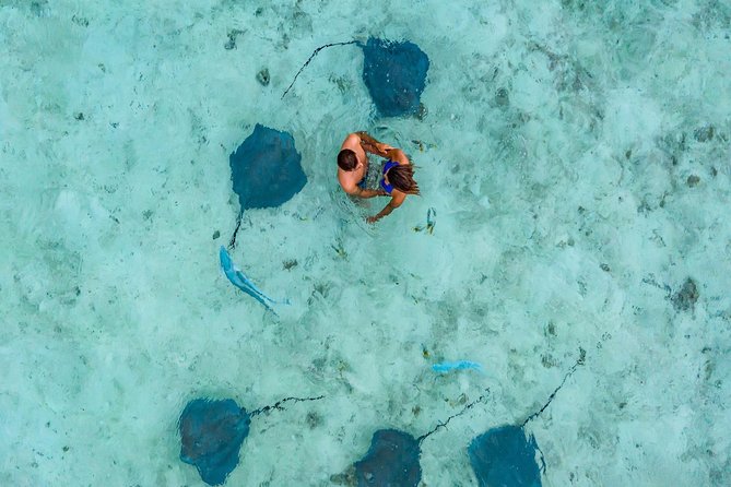 Private Tour: Bora Bora Lagoon Eco Snorkel Cruise - 3hrs or 6hrs - Why the six-hour option earns its higher price