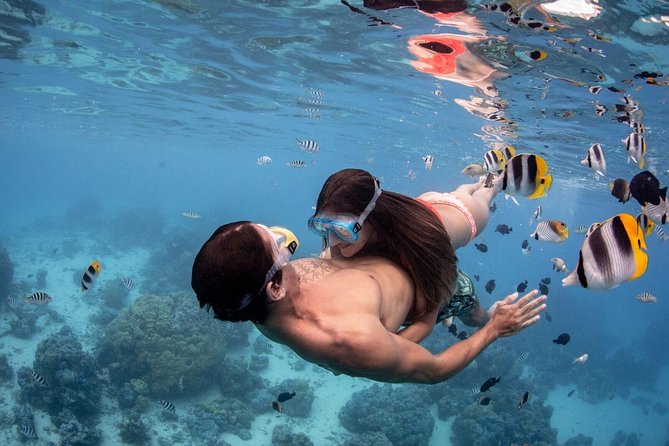 Private Tour: Bora Bora Lagoon Eco Snorkel Cruise - 3hrs or 6hrs - Guides who shape the day