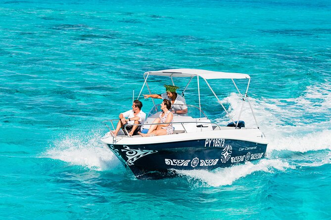 Private Tour: Bora Bora Whale Watching & Swimming Experience - What the three-hour itinerary feels like