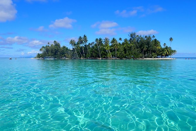Private tour from Raiatea - 1/2 day excursion to Tahaa or other - Key points to know before you book