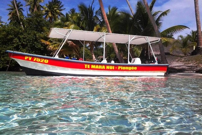 Private tour from Raiatea - 1/2 day excursion to Tahaa or other - Timing, weather, and practical planning