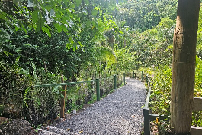 Private Tour: Hot spings & Sleeping Giant Garden hiking Adventure - What to bring for a smoother morning or afternoon