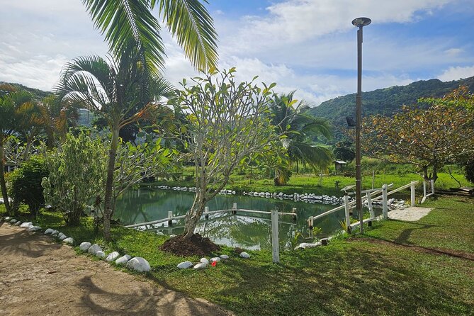 Private Tour: Hot spings & Sleeping Giant Garden hiking Adventure - How the timing affects your day