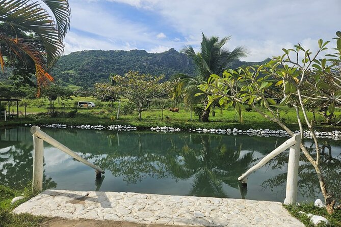 Private Tour: Hot spings & Sleeping Giant Garden hiking Adventure - Who will enjoy this experience most?