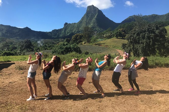 Private Tour Moorea 4WD - Belvedere Pineapple Farm, Magic Mount. - Tropical Garden, vanilla, and jam tasting