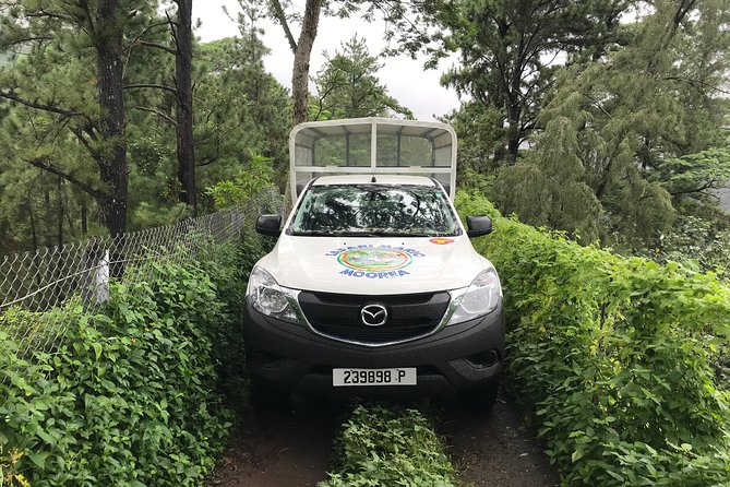 Private Tour Moorea 4WD - Belvedere Pineapple Farm, Magic Mount. - Is $500 a fair price?