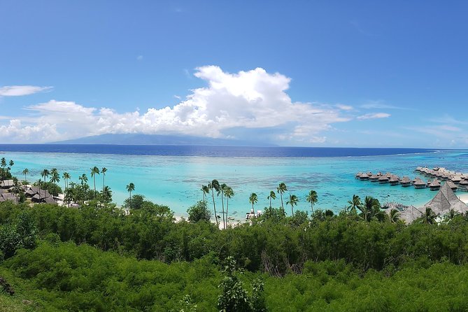 Private Tour of Tahiti's East Coast 3hours - Arahoho Blowhole and the force of pillow lava