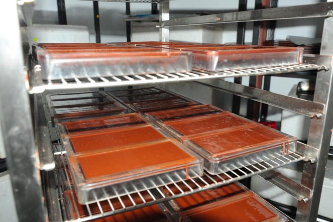 Private Tour to Aelan Chocolate Factory in Port Vila - Inside Port Vila’s Aelan Chocolate Factory