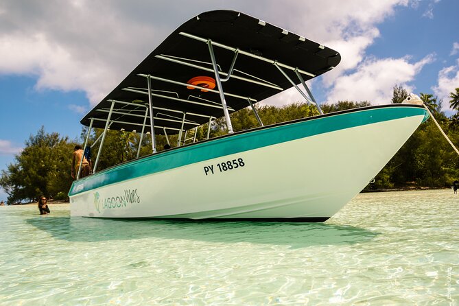 Private tour whale watching and snorkeling in Moorea - Whale Snorkeling Is a Serious Add-On