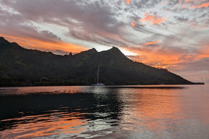 Private Tour Whale Watching Half Day Tour - Swimming with whales is not guaranteed
