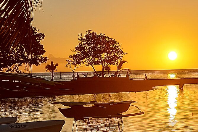 Private Tours of Tahiti by Lydia. Full or Half Day - The private van and the value of $650