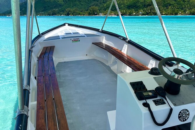 Private Whale Watching Adventure in Mo'orea - What a possible swim involves
