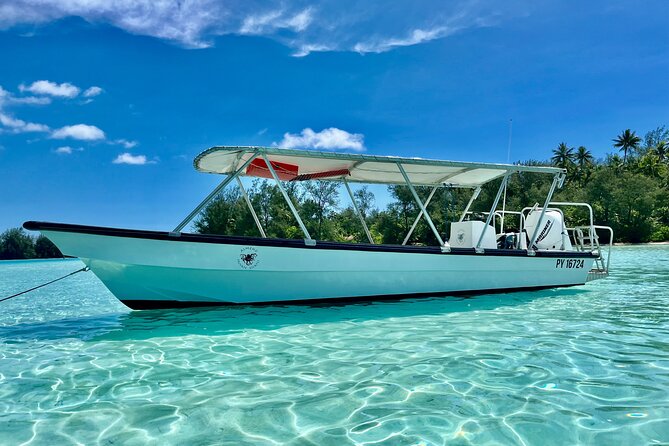 Private Whale Watching Adventure in Mo'orea - The guides and the human side of the trip