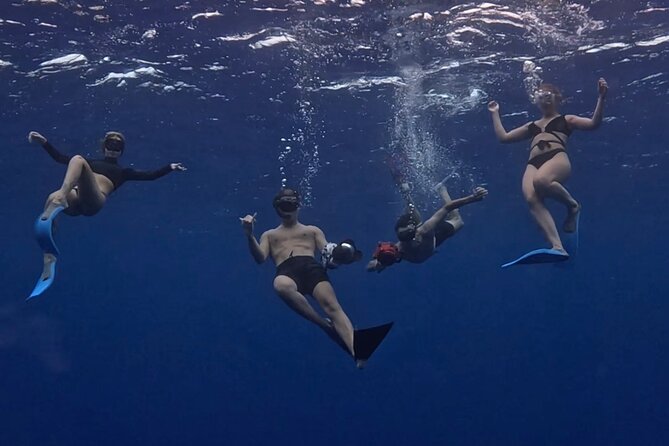 Private Whale Watching Adventure in Mo'orea - Starting at Plage de Tiahura at 8:00 am