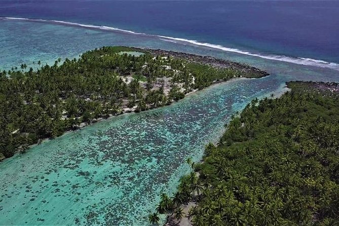 Raiatea-Tahaa Snorkeling in our beautiful Coral Garden - Guides who add more than directions