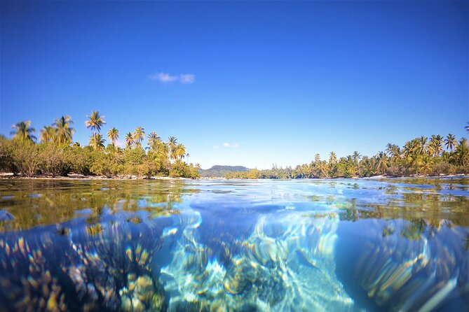 Raiatea-Tahaa Snorkeling in our beautiful Coral Garden - Fruit, drinks, and the return to Raiatea