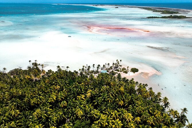 Rangiroa 2-tank Certified Scuba Dive - What the first underwater session may offer