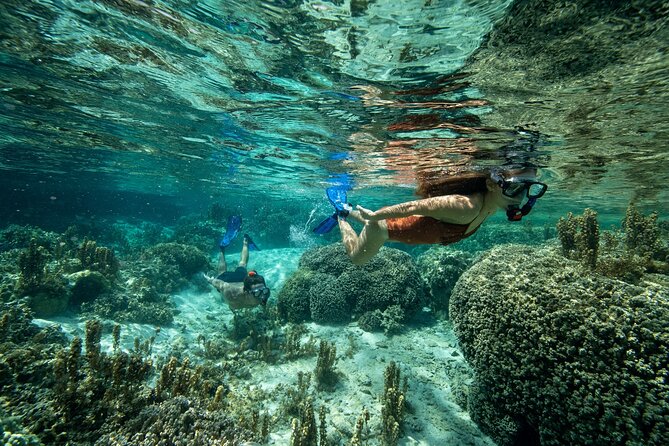 Reef Discovery Luxury Private Snorkeling Lagoon Tour - What the flexible route means for your day