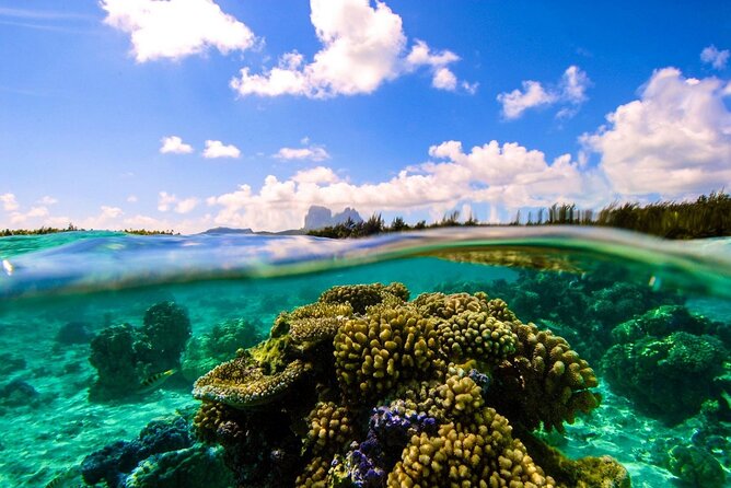 Reef Discovery Private Full Day Lagoon Tour & Water Lunch - Weather can shape the day