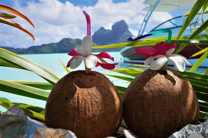 Reef Discovery Private Full Day Lagoon Tour & Water Lunch - Who will get the most from this tour?